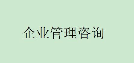 企業(yè)管理咨詢